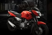 2010 Bajaj Pulsar 135 DTS-i photo